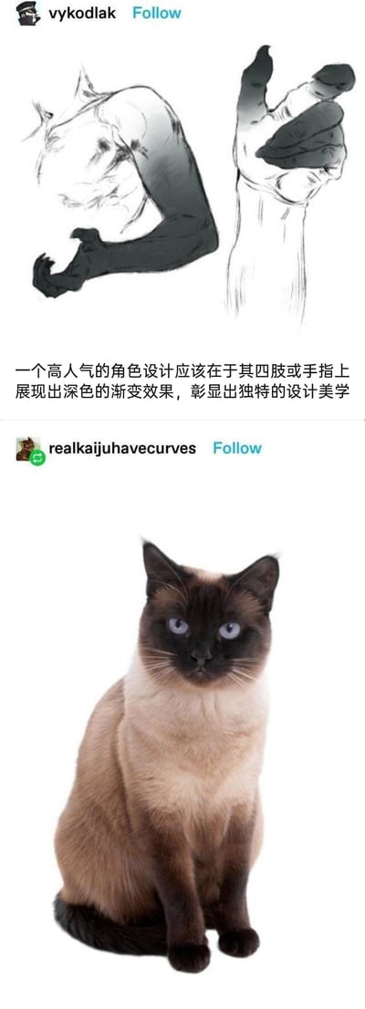 这是一张上下拼接的社交媒体互动梗图，上方是用户vykodlak发布的手绘稿，展示了带有深色渐变效果的手臂和手部，配文提出“高人气角色设计要在四肢或手指展现深色渐变以彰显独特美学”的观点；下方是用户realkaijuhavecurves发布的暹罗猫照片，暹罗猫天生脸部、四肢、尾巴呈现深色渐变，完美对应上方提到的设计特征，以此玩梗调侃该设计早已存在于现实生物中。
