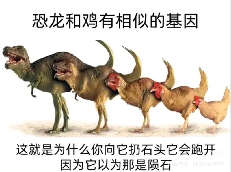 古生物复原模型
