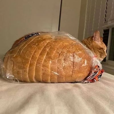 一只橘猫侧躺在浅色布面上，除头部外，身体被一整个透明塑料袋包裹，袋内装有一条切片面包。猫咪的身形与面包 loaf 完美契合，从侧面看仿佛面包长出了猫脑袋，画面幽默又可爱。背景可见白色墙壁和带百叶窗的窗户，光线柔和，整体氛围轻松有趣。