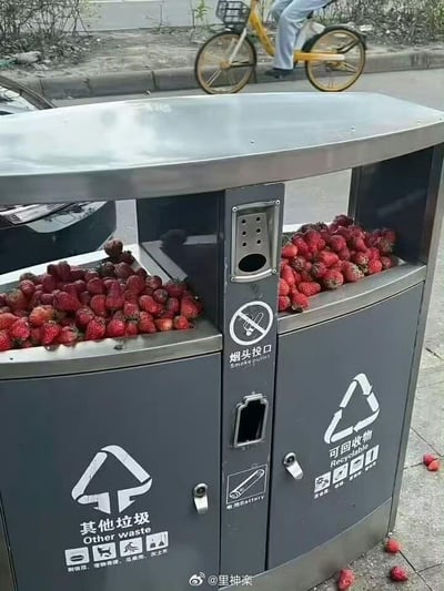 图片呈现了户外一处分类垃圾桶场景，左侧标注“其他垃圾”的桶与右侧“可回收物”桶内都被填满了大量新鲜草莓，垃圾桶旁的地面还散落着几颗草莓。垃圾桶中间区域设有烟头投口和电池专用投放口，背景中能看到一位骑行共享单车的路人。这一画面显示出有人将大量可食用的草莓丢弃，造成明显的食物浪费，让人感到可惜与不解。