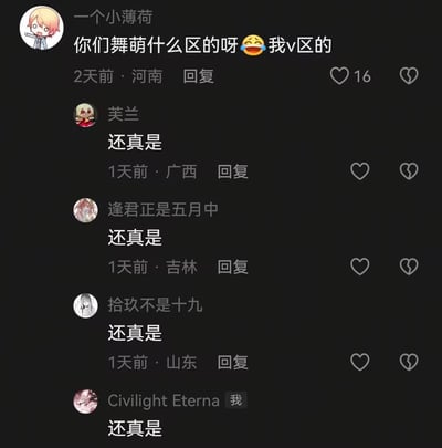 这是一张社交平台评论区的深色模式截图，顶部用户“一个小薄荷”发布评论，询问其他玩舞萌音游的用户所属的游戏区，附带笑哭表情表示自己是V区玩家，该评论2天前发布于河南，共获得16个点赞。下方有四名用户先后回复，内容全部统一为“还真是”，发布地分别为广西、吉林、山东，最后一名标注“我”的用户也同样回复“还真是”，形成了整齐划一的玩梗回复队列，趣味感十足。