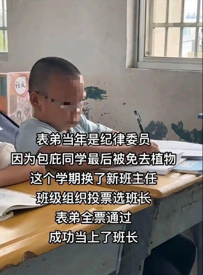 图片呈现了教室场景里，一名打了马赛克的戴眼镜小男孩坐在课桌前握笔书写的画面。配文讲述了一则充满趣味的校园趣事：表弟当年担任纪律委员时，因包庇同学被“免去职务”，这里运用了谐音梗，将“职务”写成“植物”来制造笑点；这学期班级更换了新班主任，组织投票选班长，表弟获得全票成功当选班长。