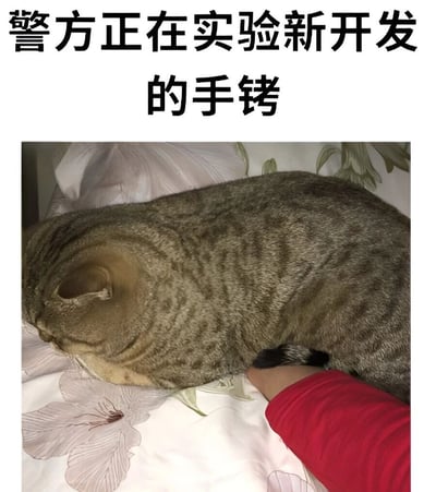 图片上方有黑色文字“警方正在实验新开发的手铐”，下方是一只虎斑猫蜷缩在床上熟睡的照片。一只穿着红色袖子的手抓住了猫的尾巴，猫咪因此被“固定”在床上，形成了幽默的视觉效果，让人联想到手铐的束缚作用。这是一张利用猫咪睡姿和抓尾巴动作制造的搞笑梗图。