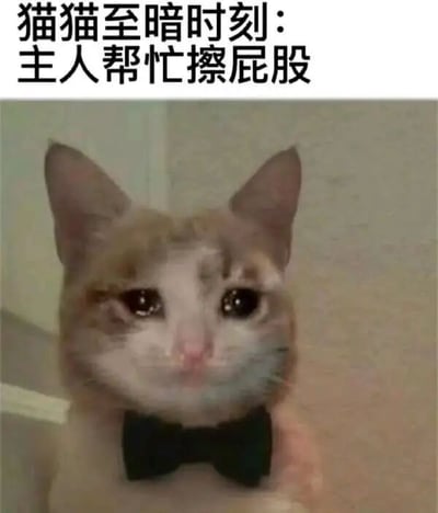 图片上方配有文字“猫猫至暗时刻：主人帮忙擦屁股”，下方是一只戴着黑色领结的猫咪特写。猫咪有着棕白相间的毛色，耳朵竖起，眼睛大而圆，眼神中透露出委屈又无奈的情绪，仿佛正经历着让它感到尴尬的时刻。领结的正式感与猫咪此刻的窘境形成反差萌，整体画面幽默地展现了宠物在被主人照顾时的可爱又好笑的瞬间。