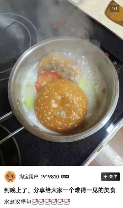 这是一张竖屏的社交媒体截图，画面上方展示了电磁炉上放着一口正在沸腾冒蒸汽的不锈钢锅，锅中将一整个完整的汉堡（带芝麻的汉堡胚、肉饼、番茄片）放在沸水中烹煮，是违背常规汉堡食用/制作方式的奇葩做法；画面下方是原发布用户的信息，用户名为淘宝用户_1919810，等级为Lv.19，配文称晚上要分享给大家一道难得一见的美食，点明这道菜是“水煮汉堡包”，搭配了多个笑哭表情，整体内容搞笑整活，是另类的黑暗料理分享。