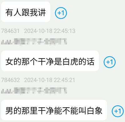 这是一张网络聊天记录截图，共展示三条连续的用户发言：第一条发言内容为“有人跟我讲”，第二条发言提及民间俗称中女性私密部位干净被叫做白虎，第三条发言借此前的说法玩梗，提问男性对应的私密部位干净能不能叫做白象。每条发言的右侧都带有蓝色的+1标识，发言者的头像、昵称均已被打码处理，每条消息下方还标注有对应的消息编号和2024年10月18日的发送时间戳。