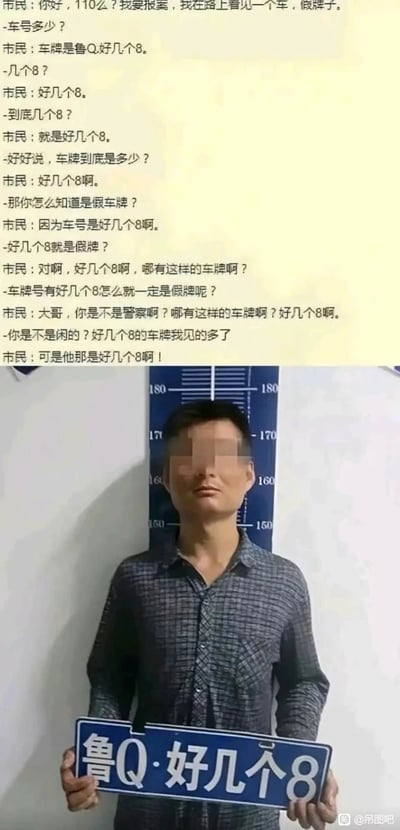 这是一张图文结合的搞笑内容图，上方是市民与110接线警察的对话记录：市民拨打110举报路上看到的假牌车辆，反复强调车牌是“鲁Q好几个8”，认为这样的车牌不可能存在，因此判定是假牌，和警察发生争执，警察认为多个8的车牌很常见，觉得市民在胡闹；下方是警局的拍照场景，一名面部被马赛克处理的男子双手举着一块假车牌，车牌内容正是“鲁Q·好几个8”，原来市民说的“好几个8”并非指多个数字8，而是车牌上直接写了“好几个8”，完美呼应了上方对话的矛盾点，制造出强烈的反差笑点，同时也解释了市民为何认定这是假牌的原因。
