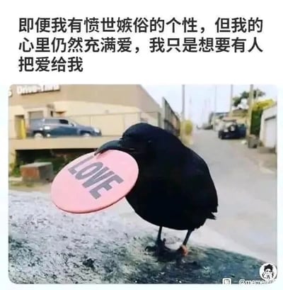 这是一张顶配底文形式的静态图，下半部分是真实拍摄的户外照片：一只黑色乌鸦站在石质台面上，嘴中叼着一个粉色圆形标识，标识上印有黑色英文单词“LOVE”，背景是居民区的街道与低矮房屋，场景日常真实；上半部分配有一段拟人化的中文文案：“即便我有愤世嫉俗的个性，但我的心里仍然充满爱，我只是想要有人把爱给我”。文案将乌鸦的形象拟人化，赋予它外表冷峻、内心柔软渴望被爱的反差性格，精准戳中人们那种嘴硬心软、渴望关怀却不愿主动表露的细腻情绪，适合在社交平台用来委婉表达内心诉求。