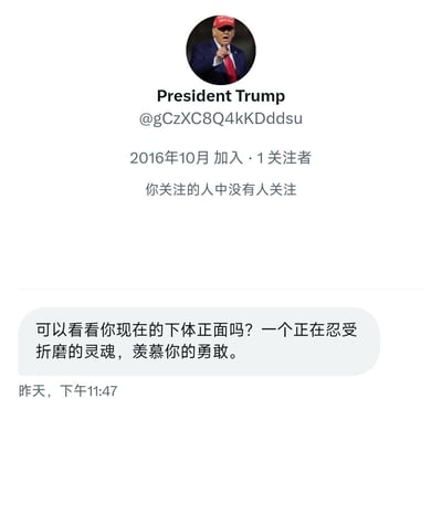 这是一张社交媒体假账号的截图，显示一个名为"President Trump"的账号，配有特朗普的照片，但包含不适当的信息和请求。账号信息显示创建于2016年10月，仅有1个关注者，且没有用户关注的人关注该账号。