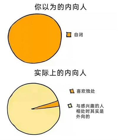 这张图片通过上下两个饼图对比了人们对内向者的刻板印象与实际情况。上方标题为'你以为的内向人'，配有一个全橙色的圆形，标注为'自闭'，代表大众对内向者的误解；下方标题为'实际上的内向人'，展示了一个主要为黄色的圆形，其中一小部分橙色标注为'喜欢独处'，更小的一部分标注为'与感兴趣的人相处时其实是外向的'，揭示了内向者并非完全封闭，而是有选择性地社交。