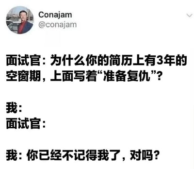 这是一张社交媒体截图，展示了一段关于面试的搞笑对话。面试官询问求职者简历上3年空窗期标注“准备复仇”的原因，求职者通过留白和最后反问“你已经不记得我了，对吗？”制造出意想不到的转折，形成幽默效果。