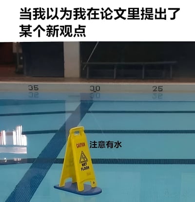 图片上方配有文字'当我以为我在论文里提出了某个新观点'，下方是一张游泳池的照片，池水中放置着一个黄色的'注意有水'警示牌。通过将明显的'有水'警示放在本就充满水的泳池中，幽默地比喻自己以为的'新观点'其实早已是显而易见的常识，引发学术写作中常见的自我怀疑共鸣。