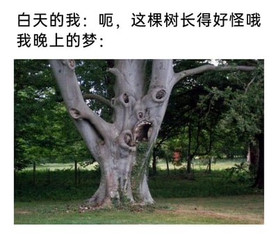这是一张结合文字与实拍照片的趣味梗图，上方文字分为两部分，分别是“白天的我：呃，这棵树长得好怪哦”和“我晚上的梦：”，下方搭配了一张户外大树的实拍照片。这棵大树的树结、树洞等自然形成的结构恰好组合成了一张表情愤怒、嘴巴大张的人脸模样，视觉效果惊悚又滑稽。整张图通过白天对怪树的平淡感慨，与夜晚梦境中树被具象成恐怖人脸的画面形成强烈反差，精准还原了很多人都有过的“白天的小念头在梦境中被夸张放大”的体验，用搞笑的方式调侃了梦境的荒诞特性。