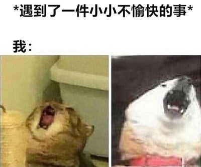 图片上方配有文字“*遇到了一件小小不愉快的事*”和“我：”，下方分为左右两格。左格是一只橘猫张大嘴巴、仰头嘶吼的照片，表情夸张，似乎在宣泄强烈情绪；右格是一只斗牛犬仰头张嘴咆哮的画面，同样展现出激烈的反应。通过动物夸张的表情与“小小不愉快”的文字形成反差，幽默地表现了人们遇到小事却反应过度的状态。