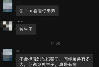这是一张聊天记录截图，展示了一个关于独生子女的幽默误会。一人让对方"看看你弟弟"，而对方简单回复"独生子"，引发了前者的愤怒回应，表示"不会撩骚别他妈聊了，问你弟弟有多大，你说你独生子，真是有病"。