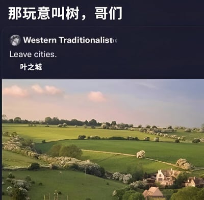 图片上方有白色大字“那玩意叫树，哥们”，下方是一张社交媒体帖子截图，用户名为“Western Traditionalist”，内容为“Leave cities. 叶之城”，帖子下方是一张风景照，展示了绿色的田野、树木、几座房屋以及带有粉色云彩的天空。整体通过将“叶之城”的英文“Leave cities”与风景中的树木结合，用幽默的方式调侃可能对自然景观的误称或夸张表述。