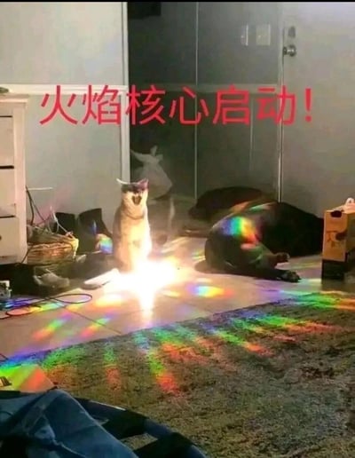 这是一张充满趣味的家庭室内实拍图，画面中一只猫咪端坐在地面，张大嘴巴，仿佛在发出呼喊，它面前的地面有一处明亮的光源，在地面和旁边的狗狗身上投射出彩色的反光效果。图片上方配有醒目的红色文字“火焰核心启动！”，将猫咪的姿态与地面的亮光结合，赋予了普通的宠物日常场景中二的奇幻感，仿佛猫咪正在启动强大的火焰能量装置，旁边的狗狗则悠闲地躺着，形成有趣的反差，整体氛围搞笑又充满脑洞。