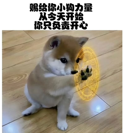 图片上方有黑色文字'赐给你小狗力量 从今天开始 你只负责开心'，下方是一只棕色柴犬幼犬坐在木地板上，它的右爪正触碰着一个金色发光的魔法阵图案。整体画面温馨治愈，通过小狗与魔法元素的结合传递出积极乐观的情感。