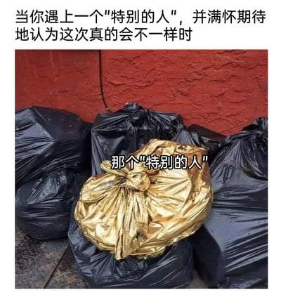 这是一张调侃感情经历的原创梗图，上方配文描述了人在感情中遇到看似特别的对象时的期待心情，图中用一堆黑色垃圾袋代表过往让人失望的感情对象，其中一个金色垃圾袋被标注为“那个‘特别的人’”，通过视觉隐喻表达：那些看似与众不同、让人满怀期待的“特别的人”，本质上和之前遇到的那些让人失望的对象并无区别，依旧是“垃圾”，精准戳中了很多人在感情里反复期待却又不断落空的无奈与失望情绪。