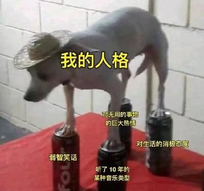 整张图是戏谑风格的自嘲梗图，画面主体是一只头戴小草帽的灰色小狗，四只脚分别踩在四个竖立的易拉罐上保持站立，小狗的身体位置标注黄色文字“我的人格”，四个易拉罐分别对应标注黄色文字：左前爪下的罐子标注“弱智笑话”，右前爪下的罐子标注“听了10年的某种音乐类型”，左后爪下的罐子标注“对无用的事物的巨大热情”，右后爪下的罐子标注“对生活的消极态度”，用拟物的夸张方式调侃自己的人格完全由这些看起来缺乏实际价值的爱好和心态支撑，笑点接地气，容易引发年轻网友的共鸣。