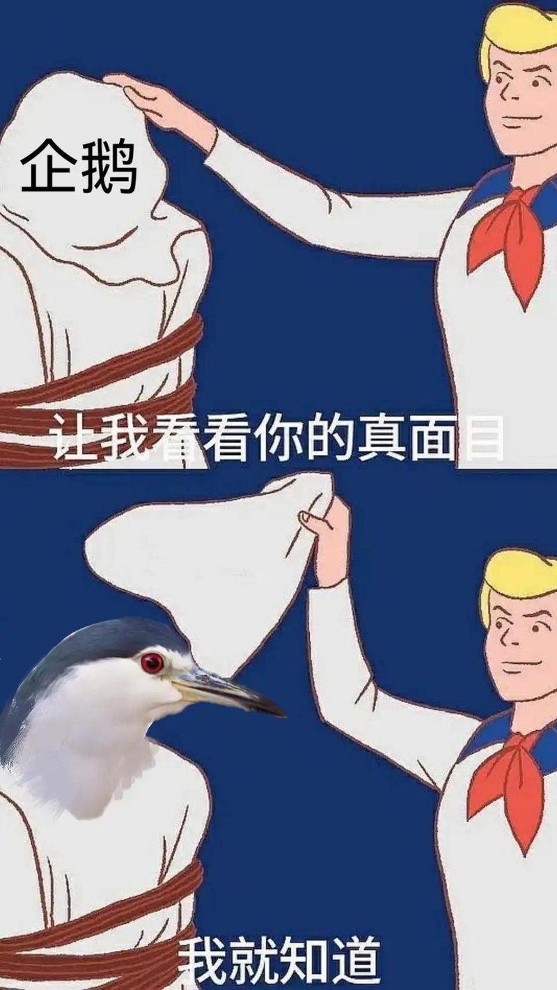 夜鹭