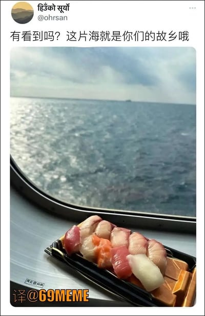 这张图是一张社交媒体截图，配文为“有看到吗？这片海就是你们的故乡啦”。图中可以看到窗外是一望无际的大海，而窗台上放着一盒寿司。配文暗示寿司是从海里“出生”的，巧妙调侃寿司的原材料（海鲜）来自大海，有明显的双关与拟人化趣味。整体语气轻松幽默，略带一点调侃。

双关梗说明：海里的“家乡”影射寿司原料来自大海。
