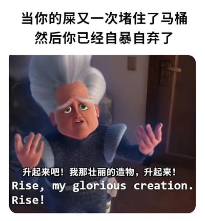 这是一张结合影视截图与文字的搞笑梗图。图片上方文字描述了“当你的屎又一次堵住了马桶然后你已经自暴自弃了”的生活窘境，下方是动画电影《神偷奶爸》中的角色玛莲娜·格鲁，她双手举起，表情夸张地呼喊“升起来吧！我那壮丽的造物，升起来！Rise, my glorious creation. Rise!”。通过将角色原本可能用于召唤或展示成果的台词，幽默地嫁接到马桶堵塞后自暴自弃的场景，形成强烈的反差萌，达到搞笑效果。