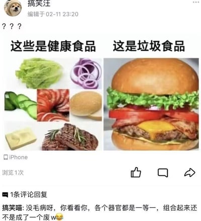 这是一张社交平台发布的梗图截图，发布者「搞笑汪」以Doge狗为头像，发布了一张左右对比图：左侧标注「这些是健康食品」，展示生菜、洋葱、黄瓜、培根、面包胚、黄油、牛排等单个食材；右侧标注「这是垃圾食品」，展示由这些食材组合而成的汉堡。发布者配文三个问号，表达对「单个食材健康，组合成汉堡就被定义为垃圾食品」这一观点的疑惑。评论区用户「搞笑喵」留下神评：「没毛病呀，你看看你，各个器官都是一等一，组合起来还不是成了一个废😂」，用人体器官与个人状态的类比，调侃这种看似矛盾的饮食刻板印象，制造出搞笑又扎心的反差效果。
