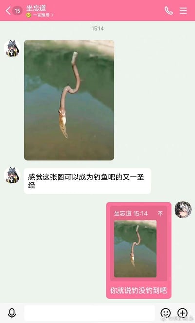 这是一段社交软件的聊天记录截图，内容围绕一张离谱的钓鱼图展开：图中鱼钩挂着一条蚯蚓，蚯蚓的下端被一条鱼紧紧咬住，形成了「看似钓到鱼，实则鱼只是咬着蚯蚓没被鱼钩挂住」的滑稽画面。发送图的用户称这张图能成为钓鱼吧的新圣经，另一用户则玩梗回复「你就说钓没钓到吧」，用刁钻的角度调侃这种尴尬又好笑的钓鱼场景，是钓鱼爱好者圈子里的搞笑整活内容。
