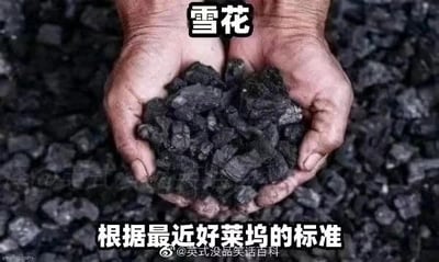 这是一张带有讽刺色彩的网络梗图，画面主体是一双手捧着一堆黑色的煤块，在双手上方用醒目的文字标注“雪花”，底部配有文字“根据最近好莱坞的标准”，通过将煤块与雪花这两种完全不同的事物强行关联，制造出荒诞的反差效果，以此讽刺好莱坞当下的某些评判标准脱离常理，存在强行定义、违背常识的情况。图片底部带有微博账号“@英式没品笑话百科”的水印。