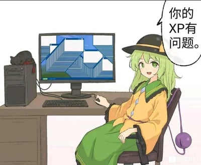 图中是《东方Project》的角色古明地恋，她坐在电脑桌前，手放在鼠标上，电脑屏幕显示着具有视觉错觉的重叠窗口图案，主机上还趴着一只黑猫。古明地恋的对白气泡写着“你的XP有问题”。这张图玩了双关梗：一方面“XP”可以指Windows XP系统，屏幕的异常显示像是系统故障；另一方面“XP”是网络用语中指个人特殊喜好、癖好的意思，结合视觉错觉的怪异图案，调侃对方的喜好很奇特。
