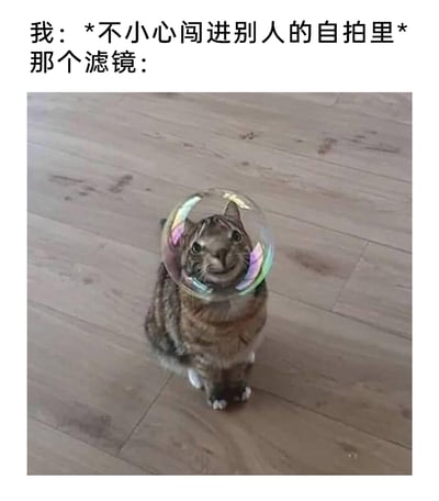 这是一张贴合日常场景的搞笑梗图，上方配有文字“我：*不小心闯进别人的自拍里* 那个滤镜：”，下方是一只端坐在木质地板上的狸花猫，它的头顶有一个带有彩虹光泽的透明泡泡，泡泡的折射效果扭曲了猫咪的脸部，让猫咪呈现出怪异又滑稽的表情。这张图用猫咪的搞笑画面，生动比喻自己不小心误入别人带滤镜的自拍时，被滤镜扭曲得面目全非的尴尬又好笑的状态，精准捕捉到日常拍照时的有趣小插曲，容易引发网友共鸣。