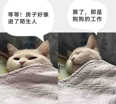 这是一张左右拼接的趣味梗图，左图里裹着毯子的猫咪眼神警觉，配文「等等！房子好像进了陌生人」；右图中猫咪立刻闭眼装睡，配文「算了，那是狗狗的工作」。通过猫咪前后反差的行为，调侃了遇事不想承担责任、直接甩锅躺平的心态，画面搞笑又贴合当下年轻人的躺平情绪。图中无谐音梗或双关含义。