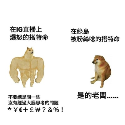 图片为左右对比的梗图，左侧是一只肌肉发达的柴犬形象，上方文字标注“在IG直播上暴怒的搭特命”，下方文字为“不要总是问一些没有经过大脑思考的问题 *￥€+￡W？&%！”，表现出愤怒暴躁的状态；右侧是一只正常体型、低头委屈的柴犬，上方文字标注“在绿岛被粉丝念的搭特命”，下方文字为“是的老闆……”，呈现出顺从无奈的样子。通过两种极端反差的状态，幽默展现了“搭特命”在不同场景下的情绪变化。图片无明显双关、谐音梗或暗示内容。
