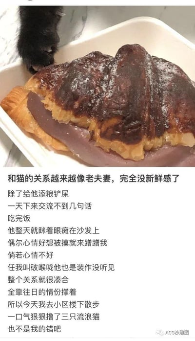 图片上方是一只黑猫的爪子探向盒中的巧克力可颂，下方是一段自嘲式的文字：作者吐槽自家猫和自己的相处模式如同进入倦怠期的老夫老妻，日常只有添粮铲屎的互动，猫咪对自己爱答不理，关系全靠往日情分维持，于是作者下楼狠狠撸了三只流浪猫，还自我辩解不是自己的错，用幽默的方式戳中养猫人的日常共鸣点。