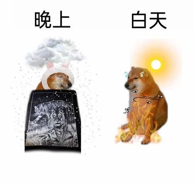 暂无描述
