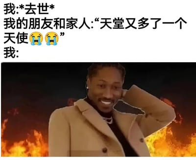这是一张幽默梗图，上方文字描述了'我去世后，朋友和家人说