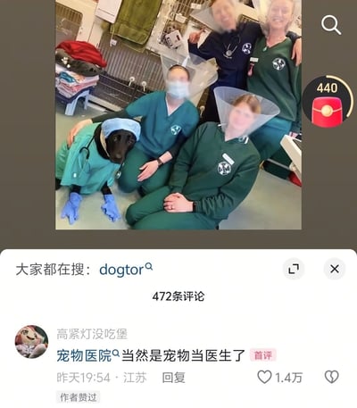 这是一张国内社交平台的截图，上方主体是宠物医院内的合影：背景可见宠物笼、医疗用品等动物医院设施，四位身着医护工作服的工作人员中，有两位佩戴了给宠物使用的伊丽莎白圈，旁边的黑色拉布拉多犬被打扮成医生的模样，穿着绿色手术服、戴着蓝色手术帽，脖子挂着听诊器，两只前爪还套了蓝色医用手套，和工作人员一同入镜，氛围轻松有趣。下方是平台的互动区域，显示关联搜索词为谐音梗“dogtor”，总共有472条评论，首条评论为用户“高紧灯没吃堡”发布的“宠物医院当然是宠物当医生了”，获得1.4万点赞，还有作者赞过的标识，界面右侧还有平台的互动奖励图标。