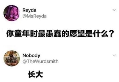 图片为社交媒体截图，展示了两条Twitter（现X平台）帖子的对话。上方用户Reyda（@MsReyda）发布文字：“你童年时最愚蠢的愿望是什么？”，下方用户Nobody（@TheWurdsmit）回复：“长大”。通过简短对话形成幽默反差，用“长大”作为童年“愚蠢”愿望，暗讽成年人对成长的复杂感受，带有怀旧与无奈的情绪。