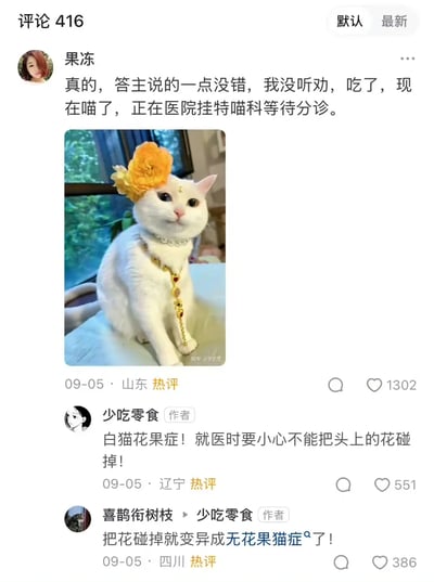 这是一张社交媒体评论区的截图，热评用户“果冻”以玩梗的语气称自己没听从劝告吃了东西后变成猫，正在医院挂“特喵科”等待分诊，并搭配了一张头戴黄色花朵、佩戴精致金饰的端坐白猫图片；答主“少吃零食”随即接梗，将此调侃为“白猫花果症”，提醒就医时不能碰掉白猫头上的花；用户“喜鹊衔树枝”进一步延伸玩梗，称碰掉花就会变异成“无花果猫症”，整个评论区围绕“花果”展开谐音梗互动，充满轻松搞笑的网络趣味氛围，三条评论均为热评，分别获得了1302、551、386个点赞。