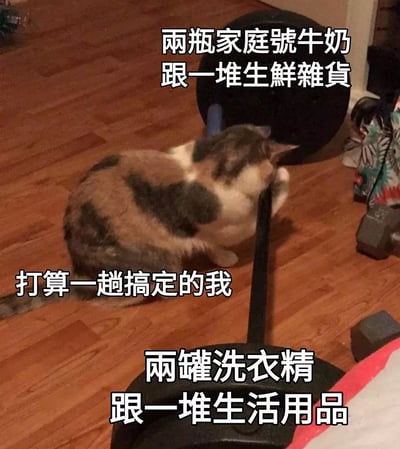 这是一张以猫咪为主角的搞笑梗图，猫咪紧紧抱住杠铃描绘出努力承受压力的搞笑画面。图片配有三处中文文案，将现实生活中的购物、日常所需物品与猫咪的挣扎动作类比，表现出成年人生活琐事的压力，特别是在一次性采购家庭生活用品时的无力感和自嘲。

猫咪抱住杠铃寓意压力大、难以应对，文字与画面形成幽默反差，突出成年人的“打算一趟搞定”的自信与现实购买杂货复杂度的矛盾。没有明显谐音梗，但有强烈的生活无奈和自嘲意味。