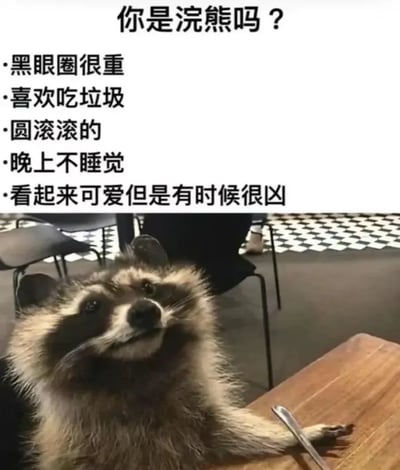 这张梗图图片采用上方对白，下方动物照片的经典结构。其中文字内容以提问“你是浣熊吗？”为开头，并罗列浣熊的典型特征（黑眼圈重、喜欢吃垃圾、圆滚滚、晚上不睡觉、看起来可爱但有时候很凶），实际上这些特质常被网友用来自嘲自己的生活状态，比如熬夜、嗜吃、不健康作息等。

本图通过“浣熊”这一动物的形象，与当代年轻人的亚健康、邋遢、爱熬夜的自嘲心理产生共鸣，形成诙谐、轻松的梗图氛围。

明面上是动物特点介绍，实则暗含自嘲与共鸣的双关性质。