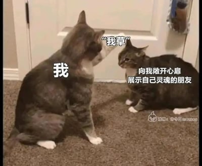 这是一张搞笑的网络梗图，以两只真实猫咪的互动场景为基础，通过添加文字来制造笑点。画面左侧的猫咪被标注为“我”，它抬起一只爪子，做出要扇向右侧猫咪的动作，同时配文“我草”，传递出嫌弃、不耐烦的情绪；右侧的猫咪被标注为“向我敞开心扉、展示自己灵魂的朋友”，它坐在地面上，表情看起来错愕茫然。整张图用生动的猫咪互动，精准还原了现实社交中，当朋友对自己过度展露内心、分享私密想法时，自己瞬间感到尴尬、想打断对方的微妙心态，引发观者的共鸣。