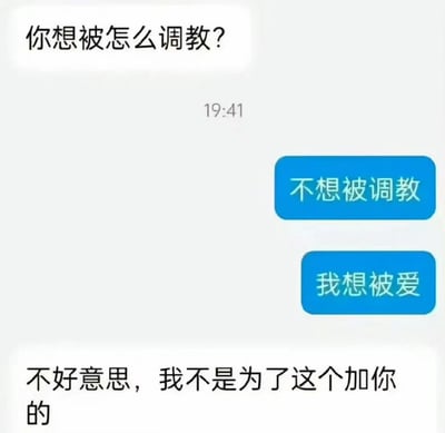 这是一张模拟聊天界面的梗图，顶部显示消息“你想被怎么调教？”，时间为19:41，下方有两个蓝色按钮选项“不想被调教”和“我想被爱”，底部则出现反转文字“不好意思，我不是为了这个加你的”。通过将带有挑衅性的问题与真诚的回复相结合，形成幽默的反差效果，让人会心一笑。