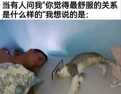图片上方有文字'当有人问我"你觉得最舒服的关系是什么样的"我想说的是：'，下方是一张照片，照片中一名男子躺在床上，盖着被子，表情放松，旁边有一只灰白相间的猫也悠闲地趴着。整体传达出一种无需言语、彼此陪伴的舒适关系氛围。