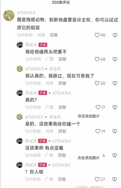 这是一张社交媒体评论区截图，展示了一场关于猫咪行为的搞笑互动。用户“67554763”建议通过“舔猫屁股”帮助猫咪宣示主权以适应新地盘，并声称自己亲测有效；作者“熊霸天”幽默回应“我给它磕两头吧要不”，尝试后反馈“没效果啊 有点涩嘴”，最后反问“？你人呢”，对话充满调侃和趣味性，引发网友点赞。