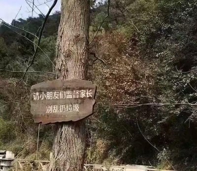 山林间的一棵大树上挂着一块木质提示牌，牌上写有“请小朋友们监督家长 别乱扔垃圾”的标语。背景是茂密的树林和起伏的山坡，整体呈现出自然清新的户外环境，通过巧妙的标语设计倡导环保行为，借助小朋友的监督角色增加趣味性和执行力。