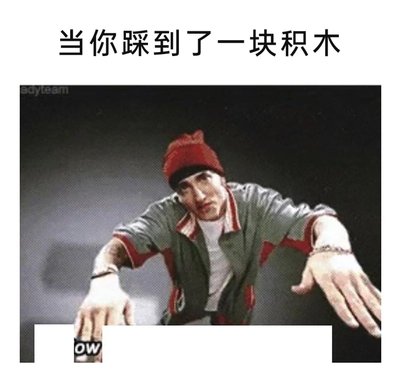 美国知名说唱歌手，代表作有《Lose Yourself》《Stan》等