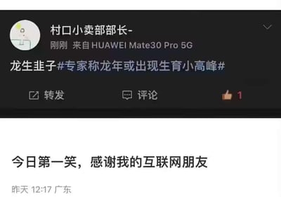 这张图分为上下两部分，上半部分是微博用户“村口小卖部部长-”发布的内容，将传统俗语“龙生九子”谐音改成“龙生韭子”，搭配话题#专家称龙年或出现生育小高峰#，玩梗调侃当下年轻人自嘲为“韭菜”的网络语境，对专家提出的龙年生育高峰说法进行幽默吐槽；下半部分是另一网友的评论“今日第一笑，感谢我的互联网朋友”，表达被这个谐音梗逗笑的心情。

这里使用了谐音梗：“九子”与“韭子”发音相近，用“韭子”暗合年轻人自嘲“韭菜”的网络情绪，对严肃的生育话题进行轻松解构。