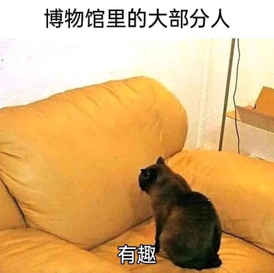 这是一张利用视觉错位效果创作的趣味吐槽梗图。图中一只暹罗猫坐在黄色沙发上，身体朝向沙发靠背，视觉上仿佛正专注观赏一件展品；顶部文字“博物馆里的大部分人”点明了吐槽的场景与对象，猫下方的文字“有趣”则精准讽刺了博物馆中部分游客的状态——他们其实并未理解展品的内涵，却出于从众心理或社交体面，假装对展品充满兴趣、看得津津有味，用幽默的方式戳中了这种日常社交里“假装欣赏”的行为，引发共鸣。